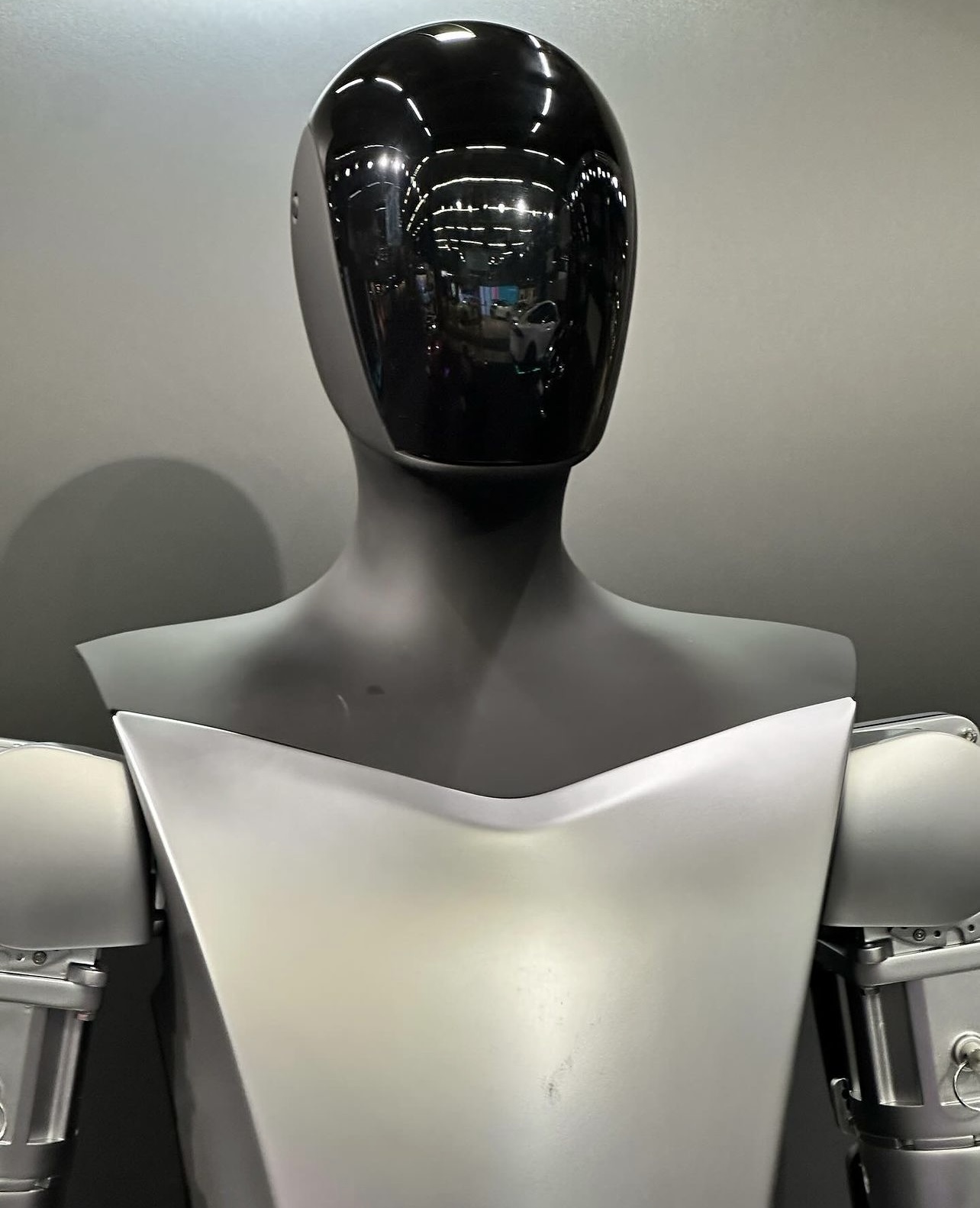 Teslabot